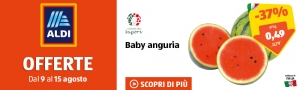 offerte Aldi dal 9 al 15 agosto