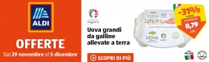 offerte Aldi 29 novembre 5 dicembre